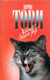 Новый мальчик - Тови Дорин