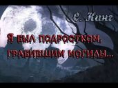 Я был подростком, грабившим могилы - Кинг Стивен