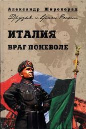 Италия. Враг поневоле - Широкорад Александр Борисович