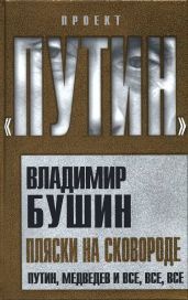 Пляски на сковороде - Бушин Владимир Сергеевич