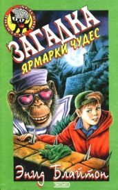 Загадка ярмарки чудес - Блайтон Энид