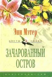 Зачарованный остров - Мэтер Энн