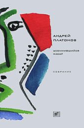 Том 1. Усомнившийся Макар - Платонов Андрей Платонович