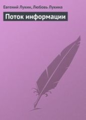 Поток информации - Лукина Любовь Александровна, Лукин Евгений Юрьевич