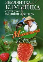 Земляника. Клубника. Сорта, уход, сезонный календарь - Звонарев Николай Михайлович