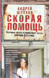 Скорая помощь. Обычные ужасы и необычная жизнь доктора Данилова - Шляхов Андрей Левонович
