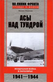 Асы над тундрой. Воздушная война в Заполярье. 1941–1944 - Жирохов Михаил Александрович