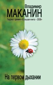 На первом дыхании (сборник) - Маканин Владимир Семенович