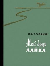 Мой друг лайка - Кузнецов Николай