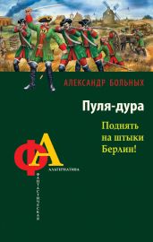Пуля-дура. Поднять на штыки Берлин! - Больных Александр Геннадьевич