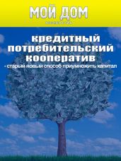 Кредитный потребительский кооператив: старый новый способ приумножить капитал - Масленников Роман Михайлович, Брандуков Максим, Казначеева Анна