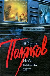 Небо падших - Поляков Юрий Михайлович