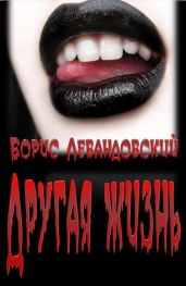 Другая жизнь - Левандовский Борис