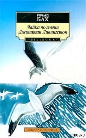 Чайка Джонатан Ливингстон (с иллюстрациями В. Ерко) - Бах Ричард Дэвис