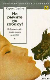 Несущие ветер - Прайор Карен