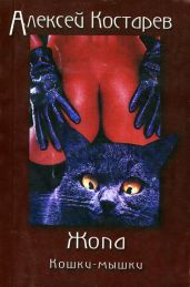 Кошки-мышки - Костарев Алексей