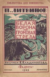 Громовая стрела - Литвинов Павел Дмитриевич