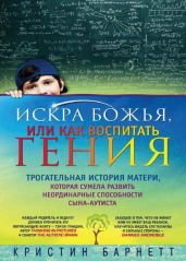 Искра Божья, или Как воспитать гения - Барнетт Кристин