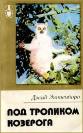Мадагаскарские диковины - Эттенборо Дэвид
