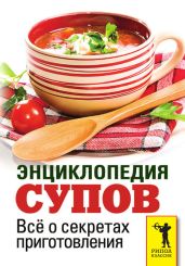 Энциклопедия супов. Всё о секретах приготовления - Кашин Сергей Павлович