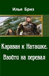 Взойти на перевал - Бриз Илья