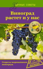 Виноград растет и у нас - Загвоздин Юрий