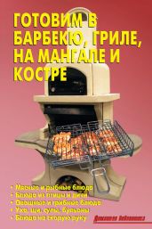 Готовим в барбекю, гриле, на мангале и костре - Кожемякин Р. Н., Калугина Л. А.