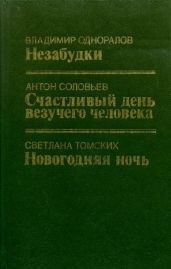 Новогодняя ночь - Томских Светлана Викторовна