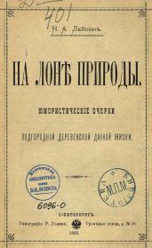 В деревне - Лейкин Николай Александрович
