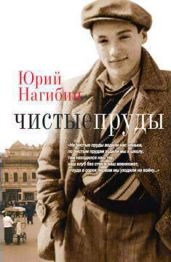 Человек и дорога - Нагибин Юрий Маркович