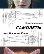 Самолеты, или История Кота - Хомутинников Юлиан