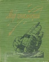 Остров сокровищ - Андреева Екатерина Владимировна