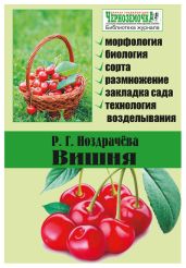 Вишня - Ноздрачева Р. Г.