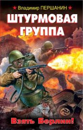 Штурмовая группа. Взять Берлин! - Першанин Владимир Николаевич