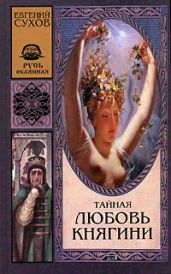 Тайная любовь княгини - Сухов Евгений Евгеньевич