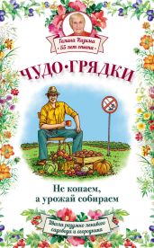 Чудо-грядки: не копаем, а урожай собираем - Кизима Галина Александровна