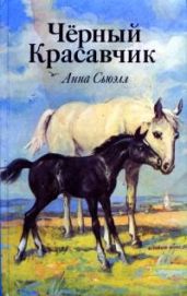 Черный Красавчик (с иллюстрациями) - Сьюэлл Анна