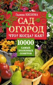 Сад и огород на дачном участке. 500 подробных ответов на все самые важные вопросы - Кизима Галина Александровна