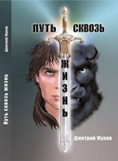 Путь сквозь жизнь - Жуков Дмитрий Анатольевич