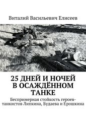 25 дней и ночей в осаждённом танке - Елисеев Виталий Васильевич