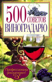 500 советов виноградарю - Бойчук Юрий Дмитриевич