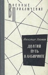 Долгий путь в лабиринте - Насибов Александр Ашотович