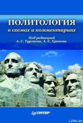 Политология в схемах и комментариях - Тургаев Александр, Хренов Андрей