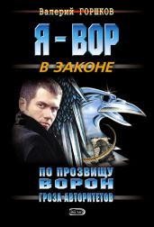 Гроза авторитетов - Горшков Валерий Сергеевич