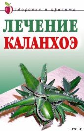 Лечение каланхоэ - Мельник Анна Вячеславовна