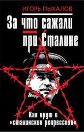 За что сажали при Сталине. Невинны ли «жертвы репрессий»? - Пыхалов Игорь Васильевич