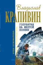 Голубятня на желтой поляне - Крапивин Владислав Петрович