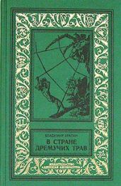 В стране дремучих трав(изд.1948) - Брагин Владимир Григорьевич