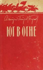 Юг в огне - Петров-Бирюк Дмитрий Ильич