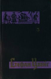 Том 3. Звездные часы человечества. Магеллан. Америго. - Цвейг Стефан